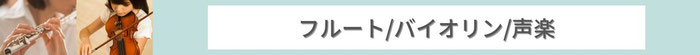 フルート / バイオリン / 声楽